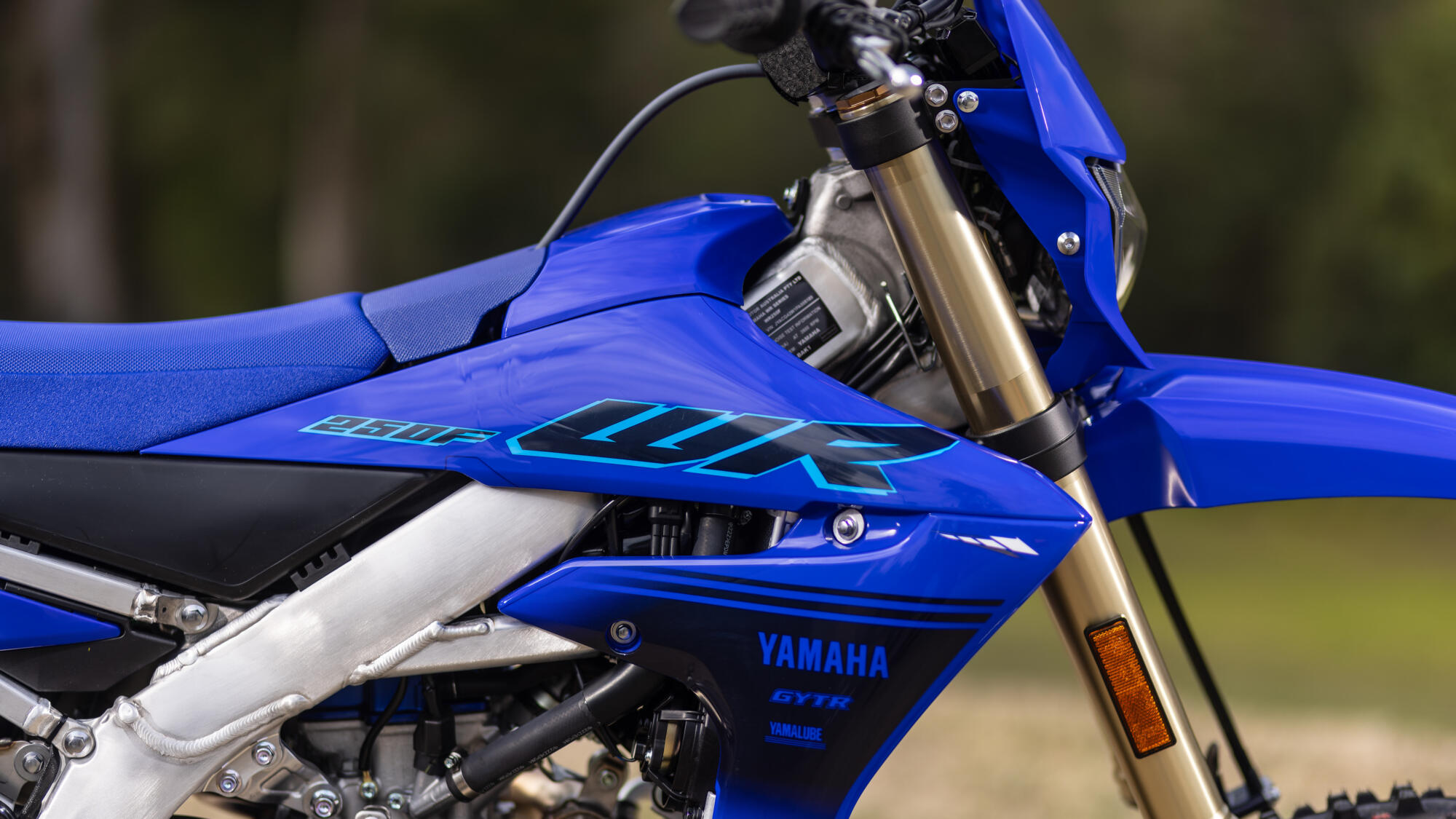 Динамічні кольори Icon Blue 